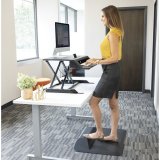 Fellowes Lotus LT Sit Stand Workstation #7