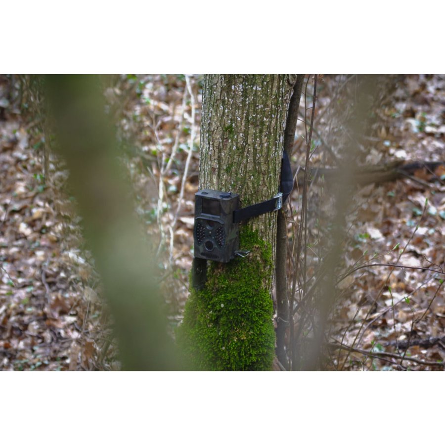 Braun Scouting Cam Black300 #5