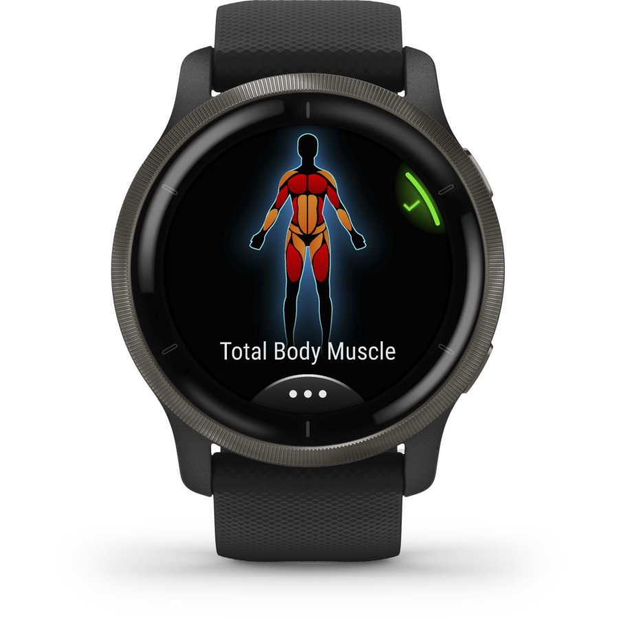 Garmin Venu 2 black/slate grey #2