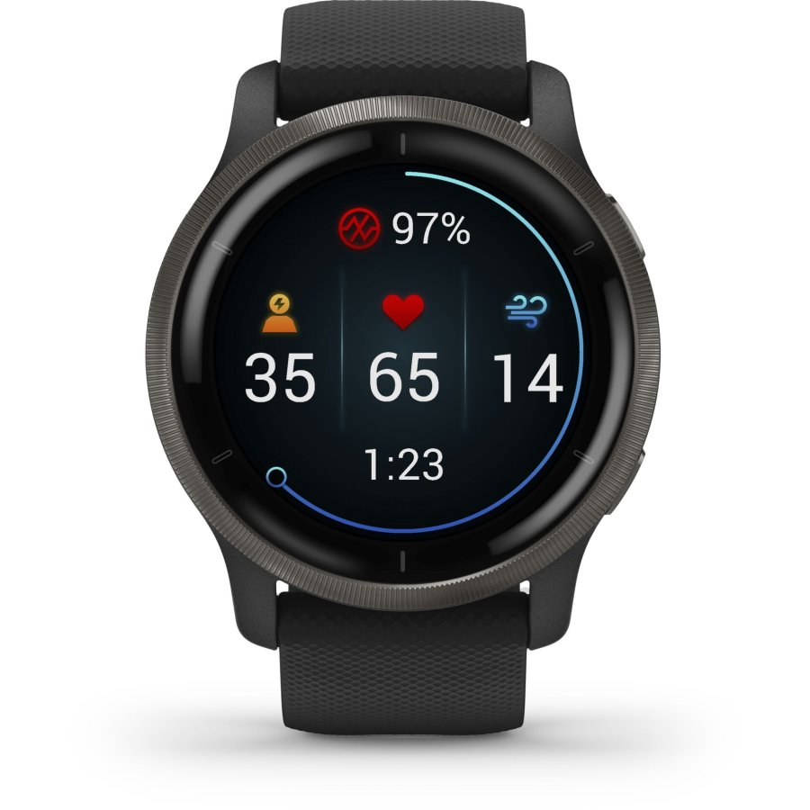 Garmin Venu 2 black/slate grey #4
