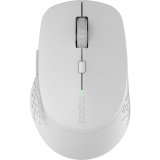 Rapoo M300 Grey Multi-Mode Wireless Mouse #1