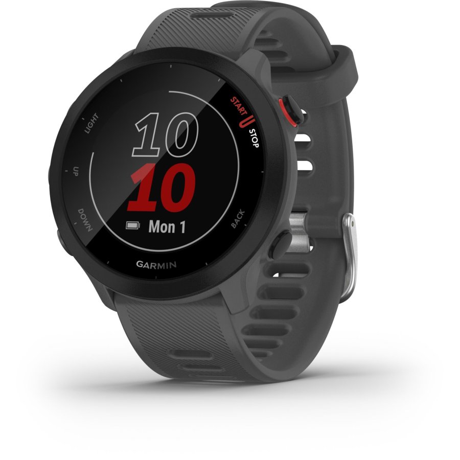 Garmin Forerunner 55 grey #1