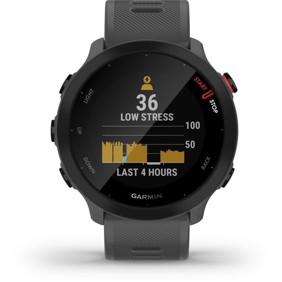 Garmin Forerunner 55 grey #6