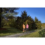 Garmin Forerunner 55 grey #10