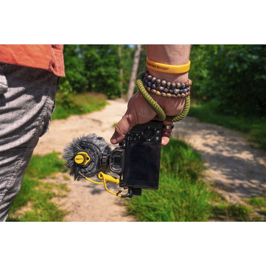 Deity V-Mic D4 mini #6