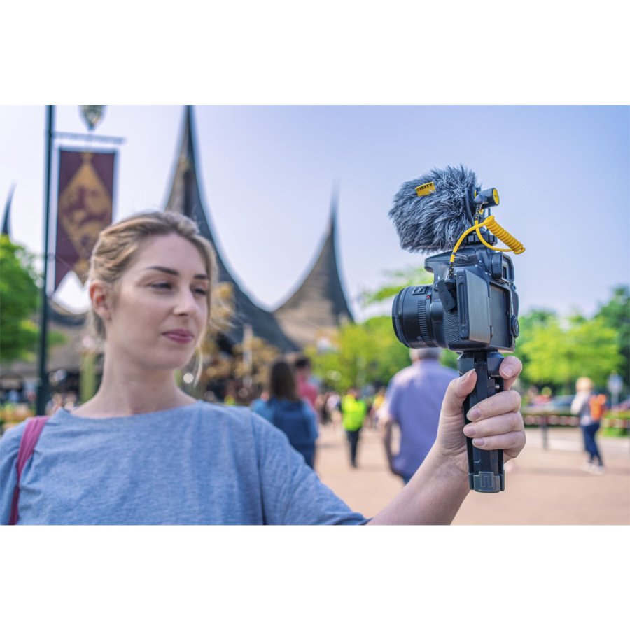 Deity V-Mic D4 mini #7