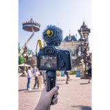 Deity V-Mic D4 mini #12