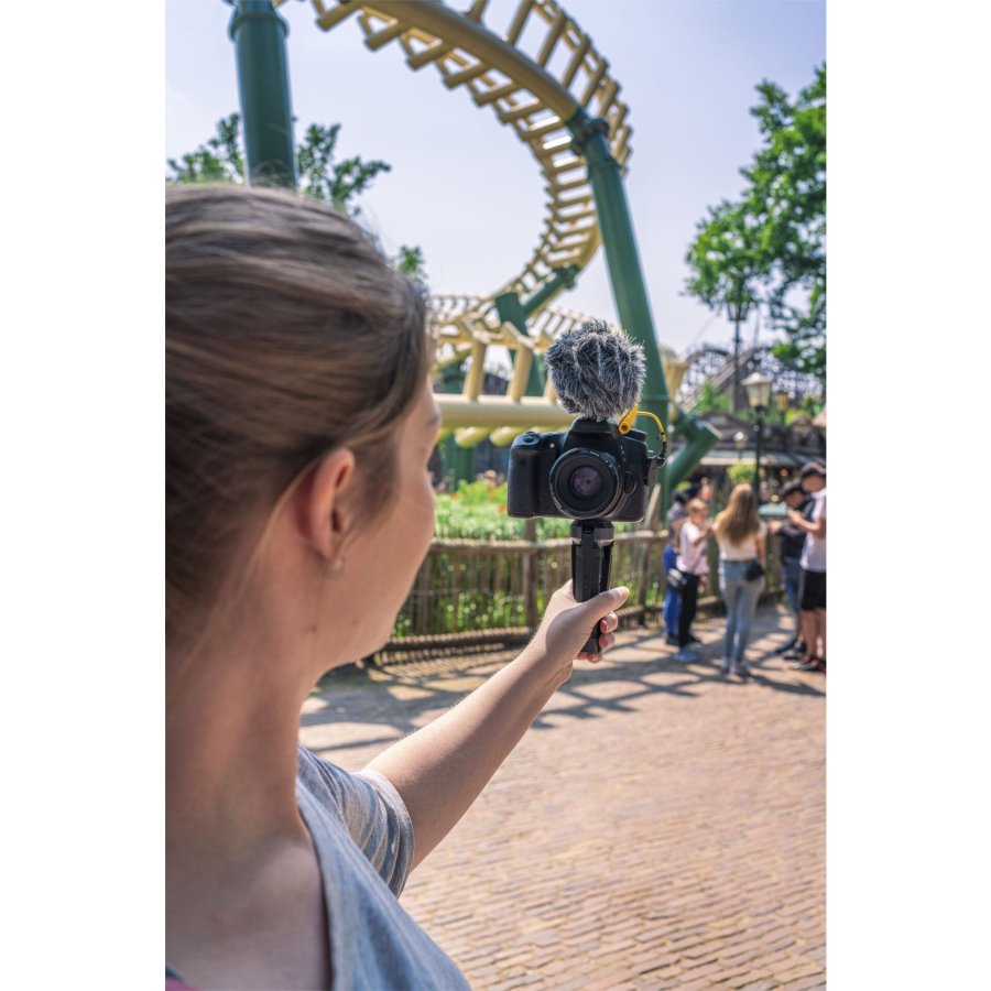 Deity V-Mic D4 mini #15