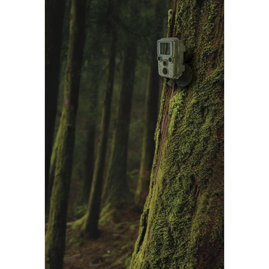 Braun Scouting Cam Black800 mini #4