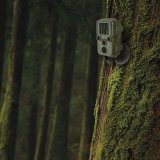 Braun Scouting Cam Black800 mini #5
