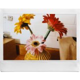 Fujifilm instax Link WIDE A Gray EX D #14