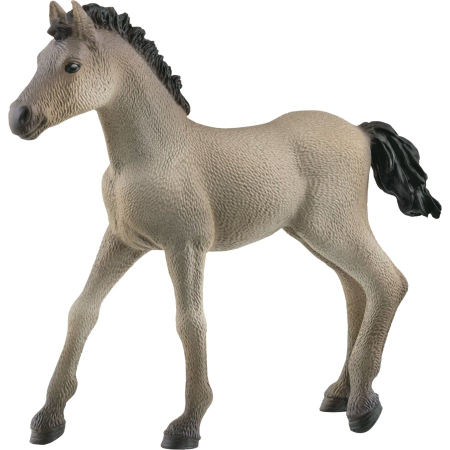 Schleich Horse Club     13949 Criollo Definitivo Foal #1