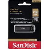 SanDisk Cruzer Extreme GO  256GB USB 3.2         SDCZ810-256G-G46 #1