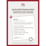 Walther New Lifestyle    21x29,7 Resin red DIN A4 KV130R #1