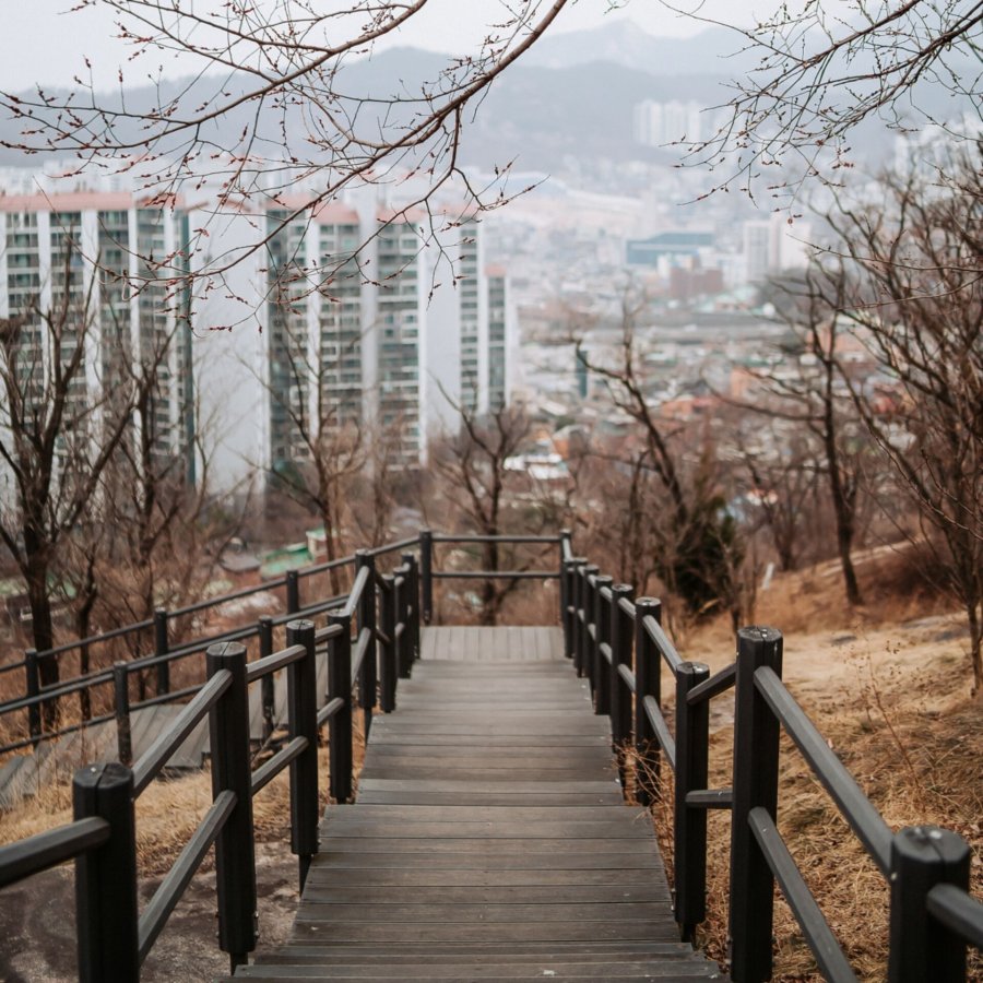 Samyang AF 1,4/35 FE II   Sony E #10