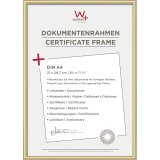 Walther New Lifestyle    21x29,7 Resin gold DIN A4 KV130G #1