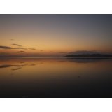 Ricoh WG-80 orange #15