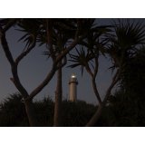 Ricoh WG-80 orange #16