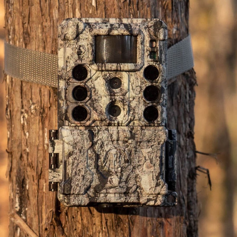 Bushnell Wildkamera 32MP Core DS 4K camo #5