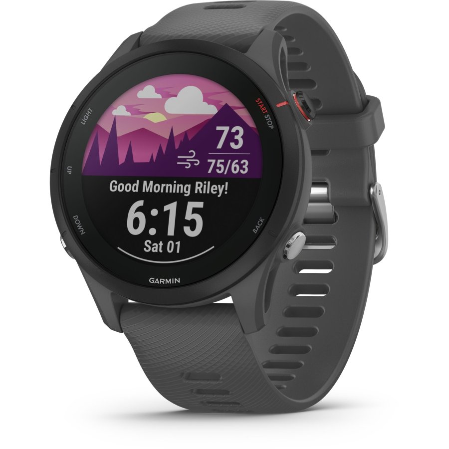 Garmin Forerunner 255 schist/black #1