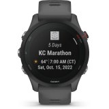 Garmin Forerunner 255 schist/black #3