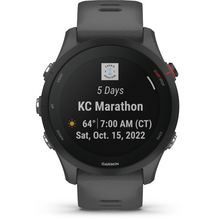 Garmin Forerunner 255 schist/black #3