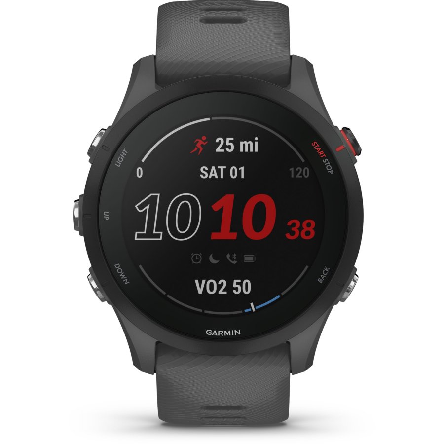 Garmin Forerunner 255 schist/black #4