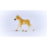 Schleich Horse Club Haflinger Foal 13951 #3