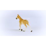 Schleich Horse Club Haflinger Foal 13951 #4