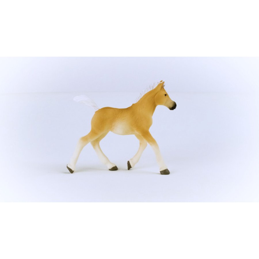 Schleich Horse Club Haflinger Foal 13951 #6