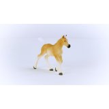 Schleich Horse Club Haflinger Foal 13951 #7