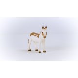 Schleich Farm World        13961 American Spotted Donkey #3