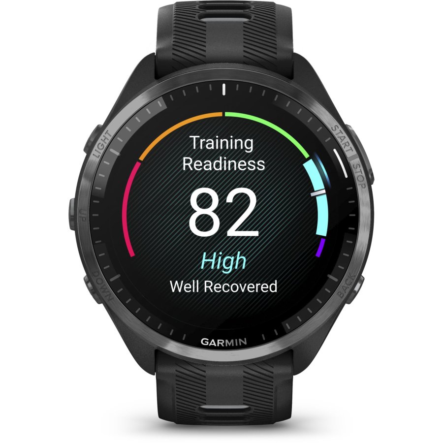 Garmin Forerunner 965 Black/Powder Gray #1