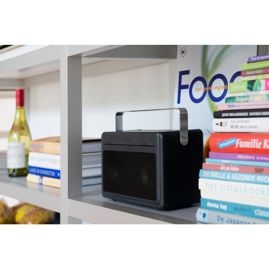 PerfectPro AUDISSE Job Site Radio #10