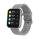Denver SW-182GR grey #2