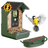 Easypix Bird Cam #1