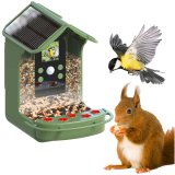 Easypix Bird Cam #2