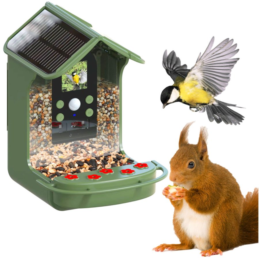 Easypix Bird Cam #2