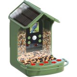 Easypix Bird Cam #9
