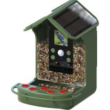 Easypix Bird Cam #10