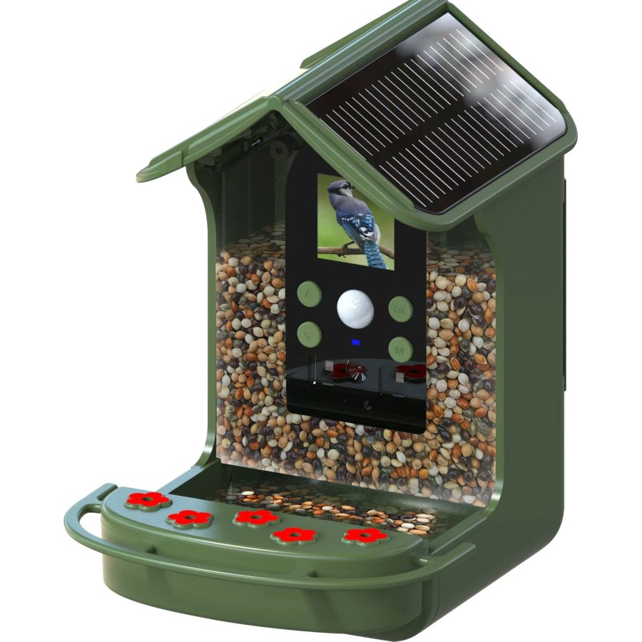 Easypix Bird Cam #10