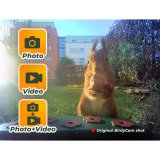 Easypix Bird Cam #17