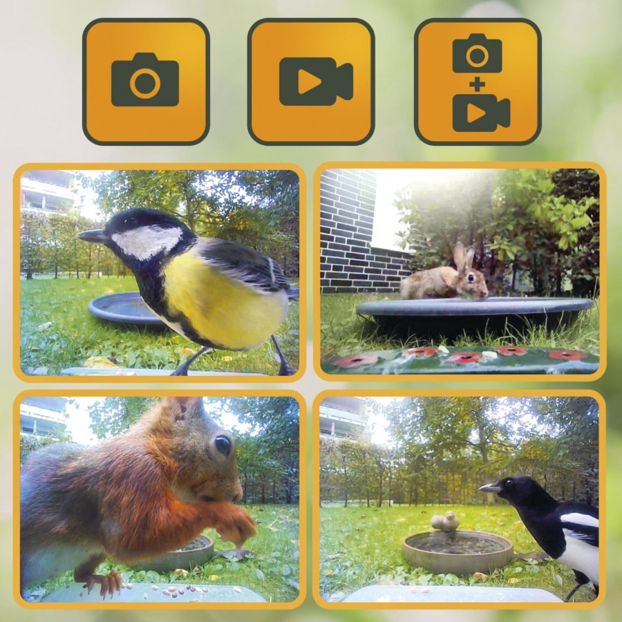 Easypix Bird Cam #18