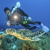 Sealife Reefmaster RM-4K Pro 2000 Set (SL354) #4