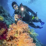 Sealife Reefmaster RM-4K Pro 2000 Set (SL354) #5