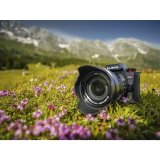 Panasonic Lumix G9 Mark II + LEICA H-ES 12-60 E #11