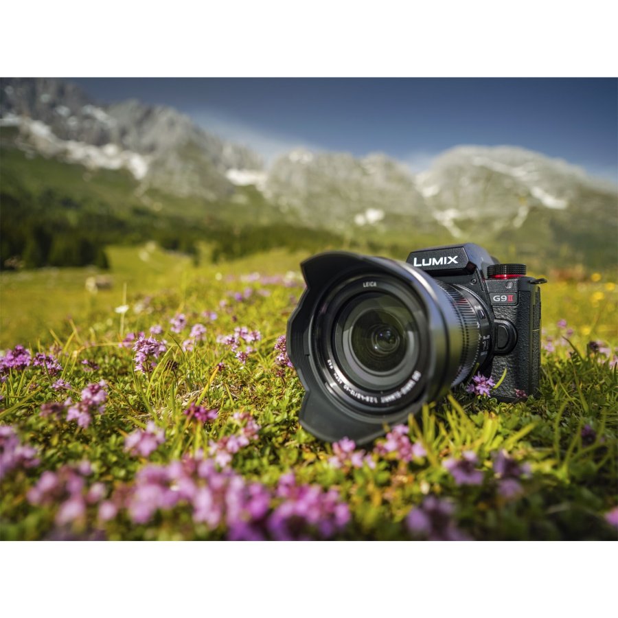 Panasonic Lumix G9 Mark II + LEICA H-ES 12-60 E #11
