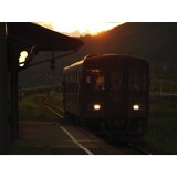 Panasonic LUMIX G9 Mark II + H-FS 12-60 E #10