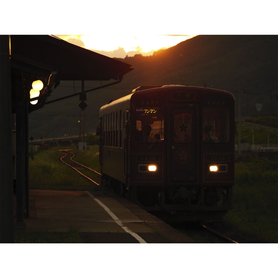 Panasonic LUMIX G9 Mark II + H-FS 12-60 E #10
