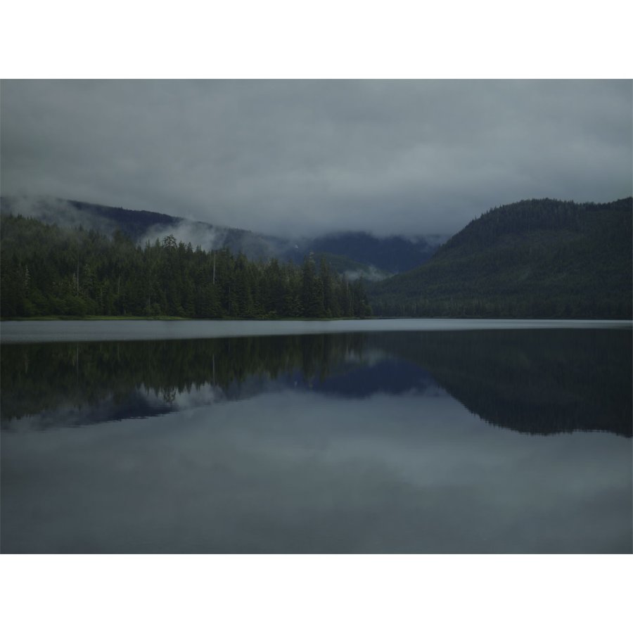 Panasonic LEICA DG 2,8/35-100 Power OIS #6